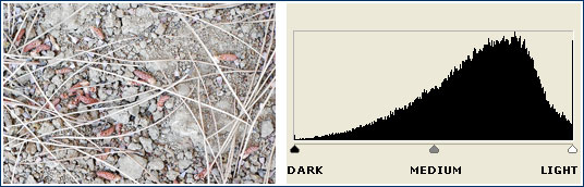 over-exposed histogram