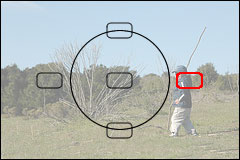 autofocus point selected