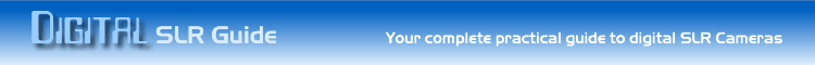 digital SLR guide