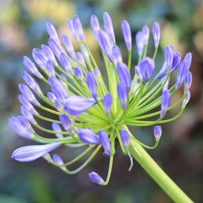 exposure compensation