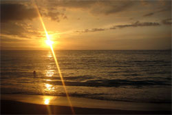 Beach Sunset