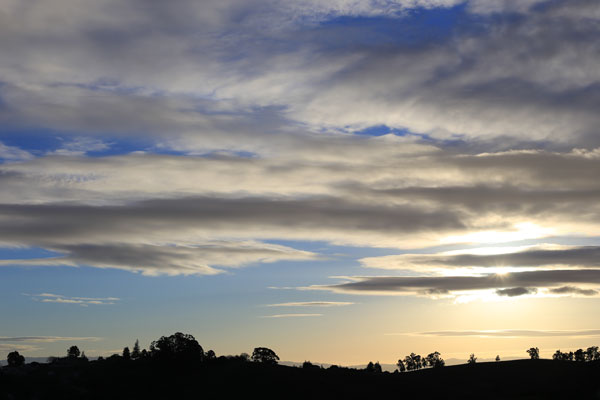 High Contrast Sunset