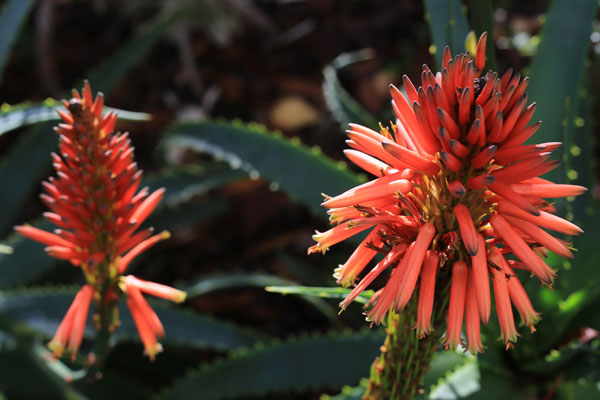 Negative Exposure Compensation