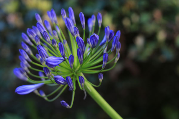 DSLR Exposure Compensation -1