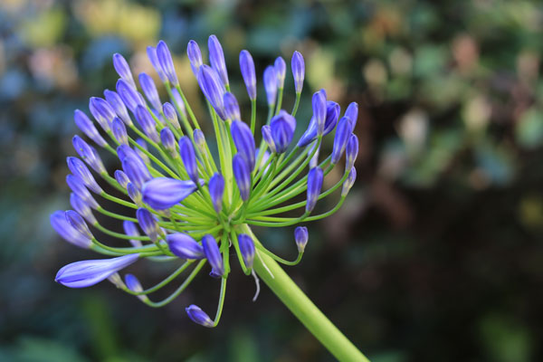 DSLR Exposure Compensation Zero